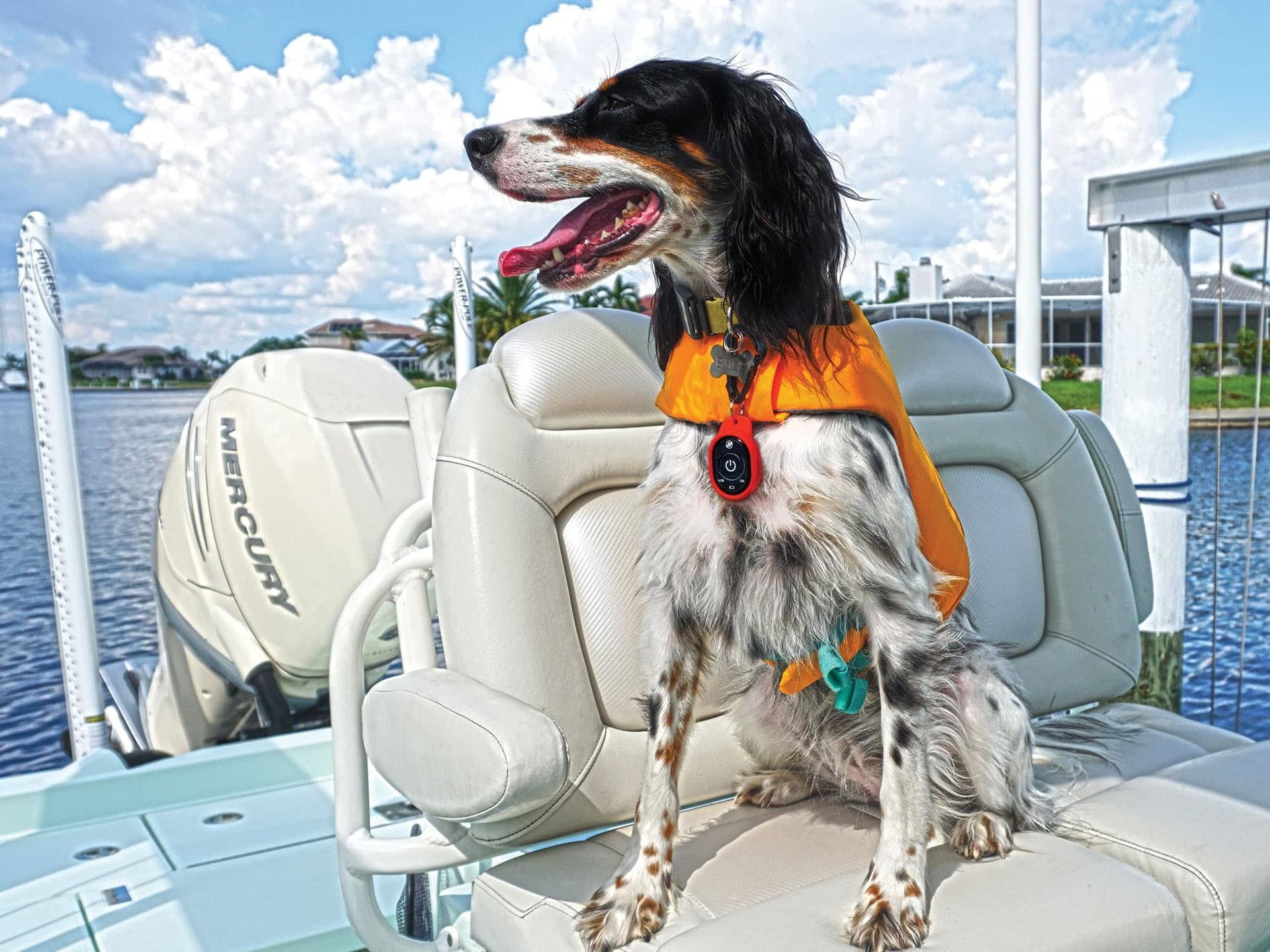 Keep your dog safe and happy while on the water with this gear.