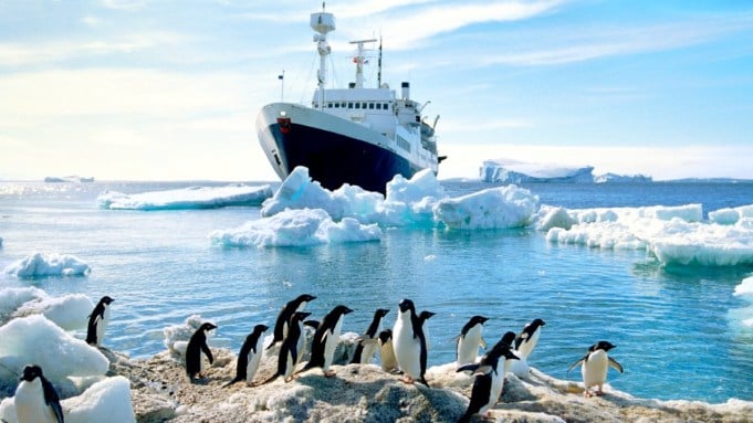 These Charter Yachts Let You Tag Hammerhead Sharks and Count Spirit Bears for Research