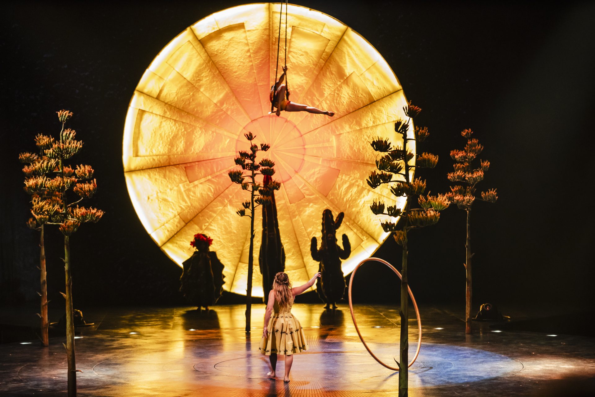 Luzia lights up